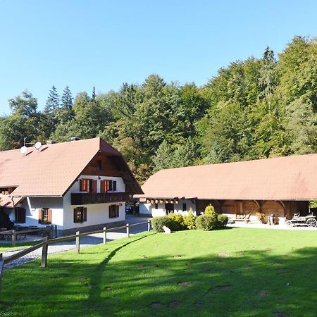 Domacija Seruga Countryside Hotel ノヴォ メスト エクステリア 写真