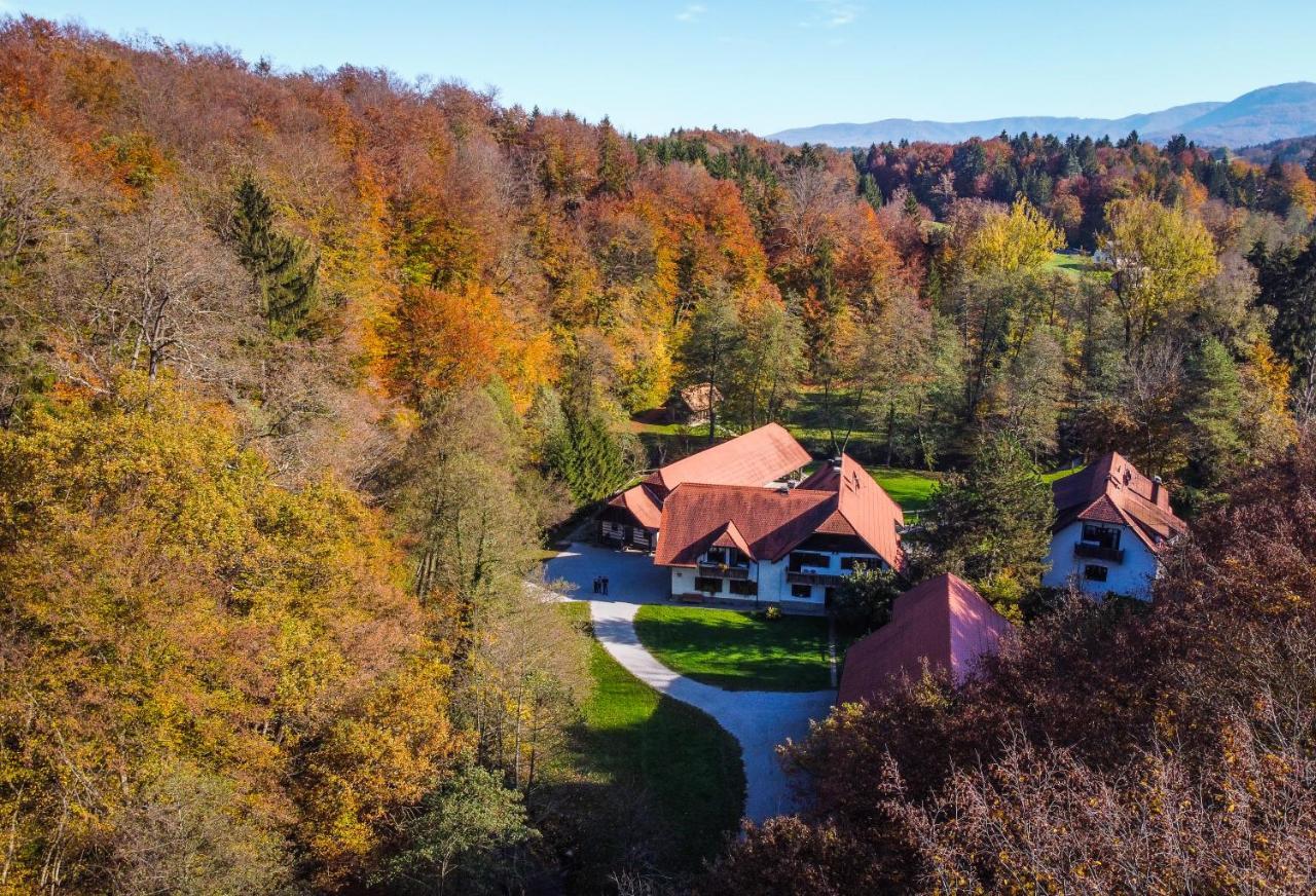 Domacija Seruga Countryside Hotel ノヴォ メスト エクステリア 写真