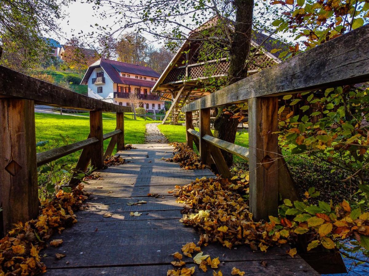 Domacija Seruga Countryside Hotel ノヴォ メスト エクステリア 写真