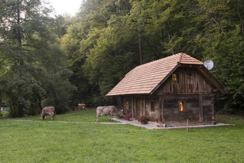 Domacija Seruga Countryside Hotel ノヴォ メスト エクステリア 写真