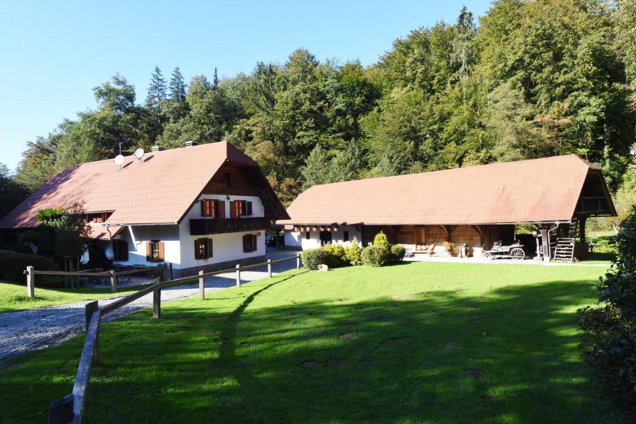 Domacija Seruga Countryside Hotel ノヴォ メスト エクステリア 写真