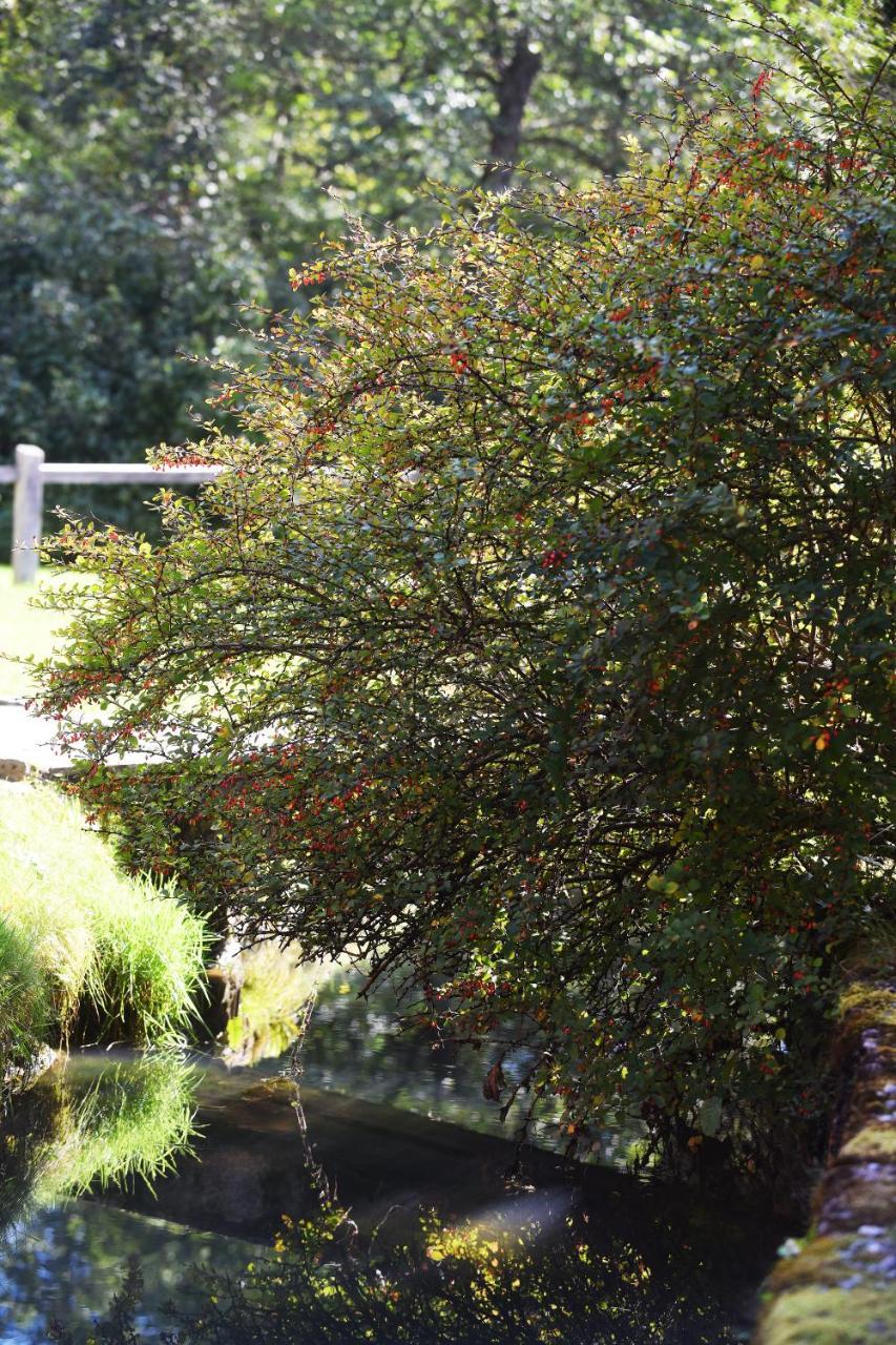 Domacija Seruga Countryside Hotel ノヴォ メスト エクステリア 写真