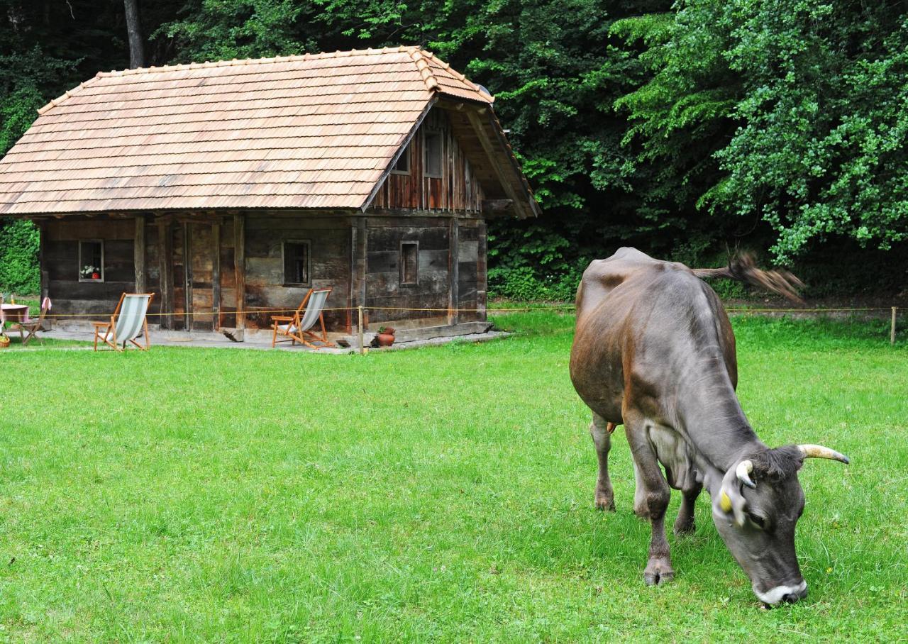 Domacija Seruga Countryside Hotel ノヴォ メスト エクステリア 写真