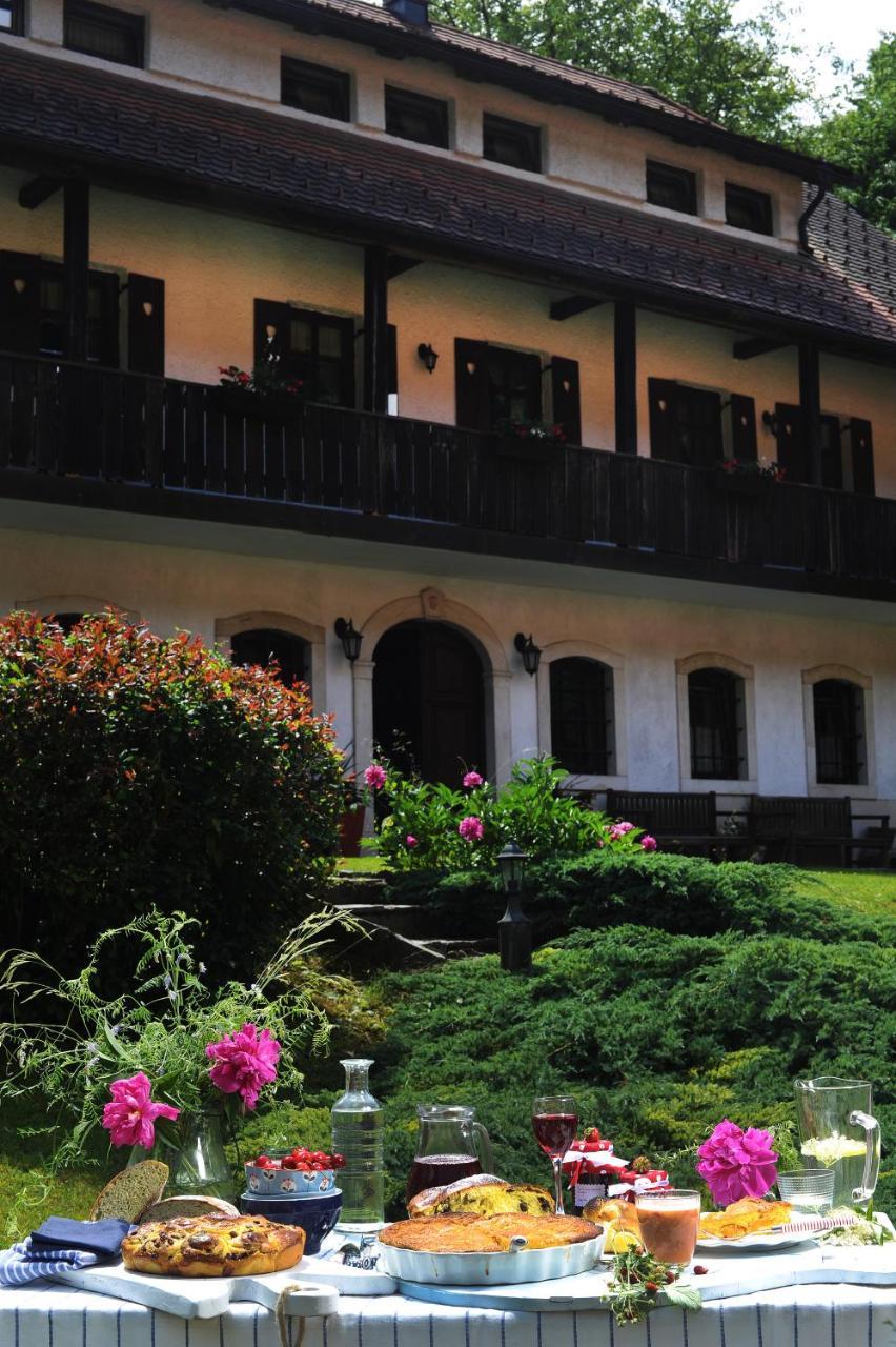 Domacija Seruga Countryside Hotel ノヴォ メスト エクステリア 写真