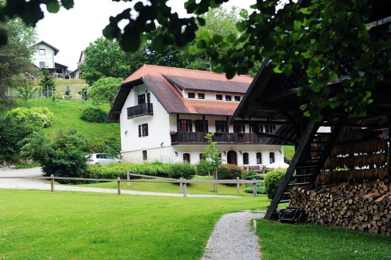 Domacija Seruga Countryside Hotel ノヴォ メスト エクステリア 写真