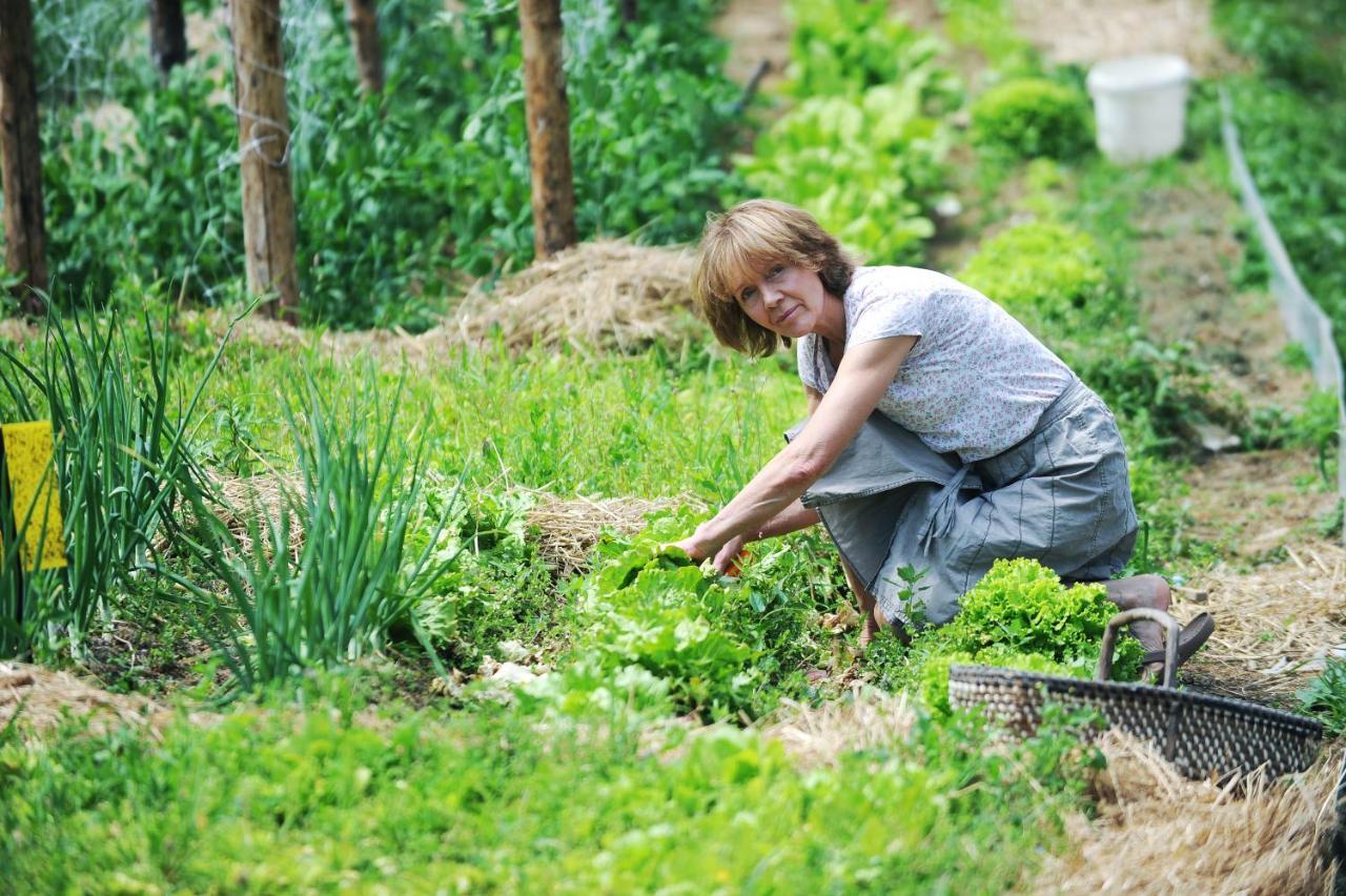 Domacija Seruga Countryside Hotel ノヴォ メスト エクステリア 写真