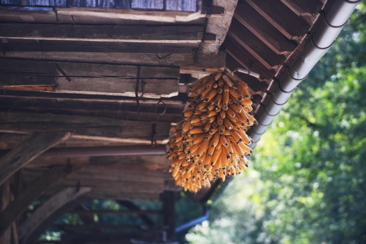Domacija Seruga Countryside Hotel ノヴォ メスト エクステリア 写真