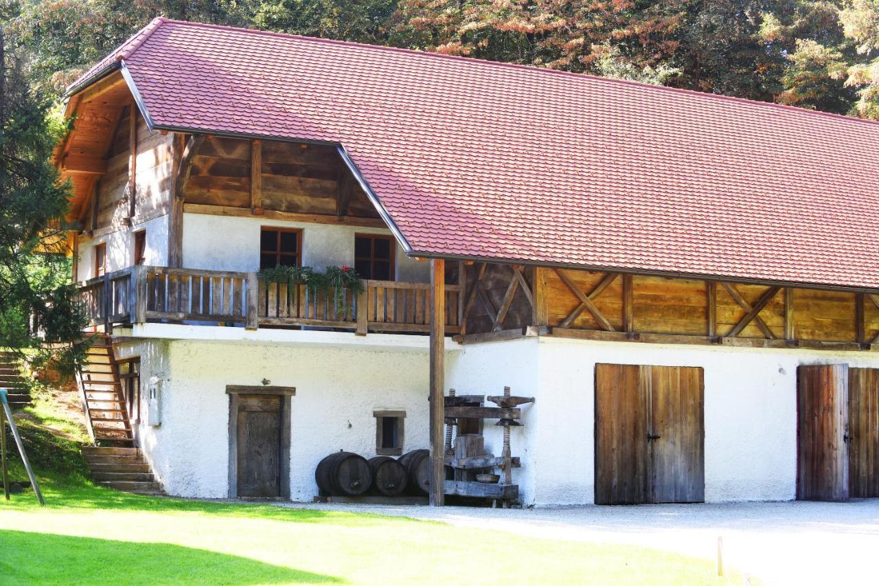 Domacija Seruga Countryside Hotel ノヴォ メスト エクステリア 写真