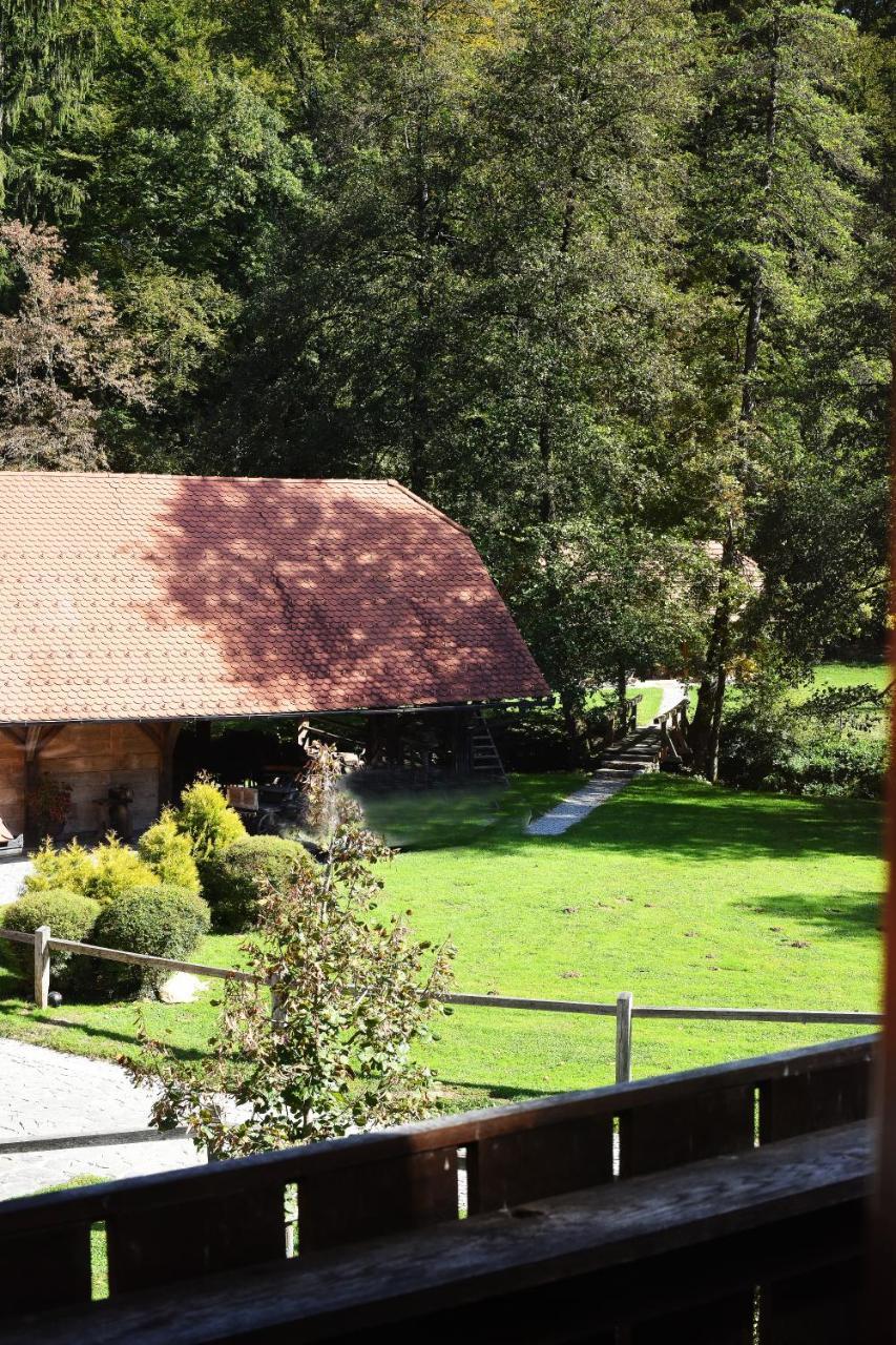 Domacija Seruga Countryside Hotel ノヴォ メスト エクステリア 写真