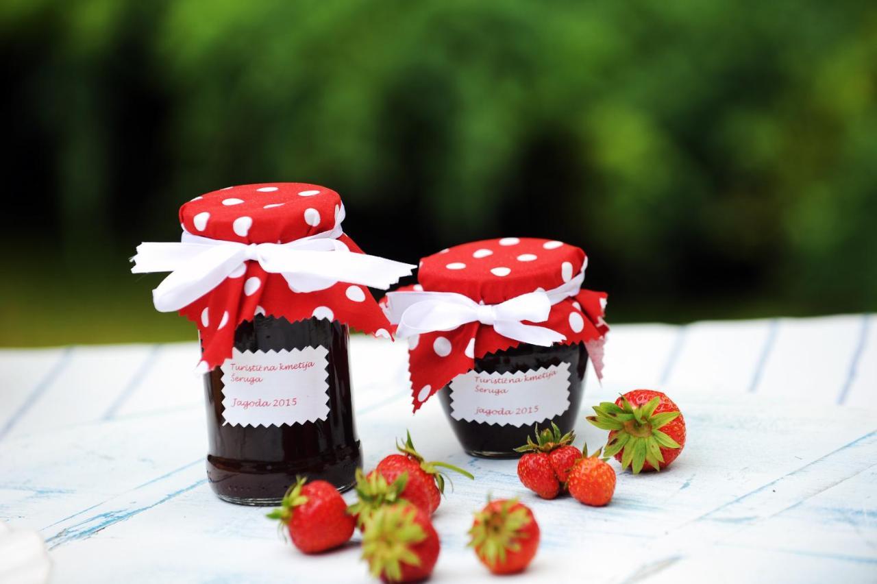 Domacija Seruga Countryside Hotel ノヴォ メスト エクステリア 写真