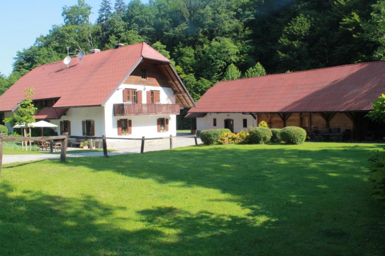 Domacija Seruga Countryside Hotel ノヴォ メスト エクステリア 写真